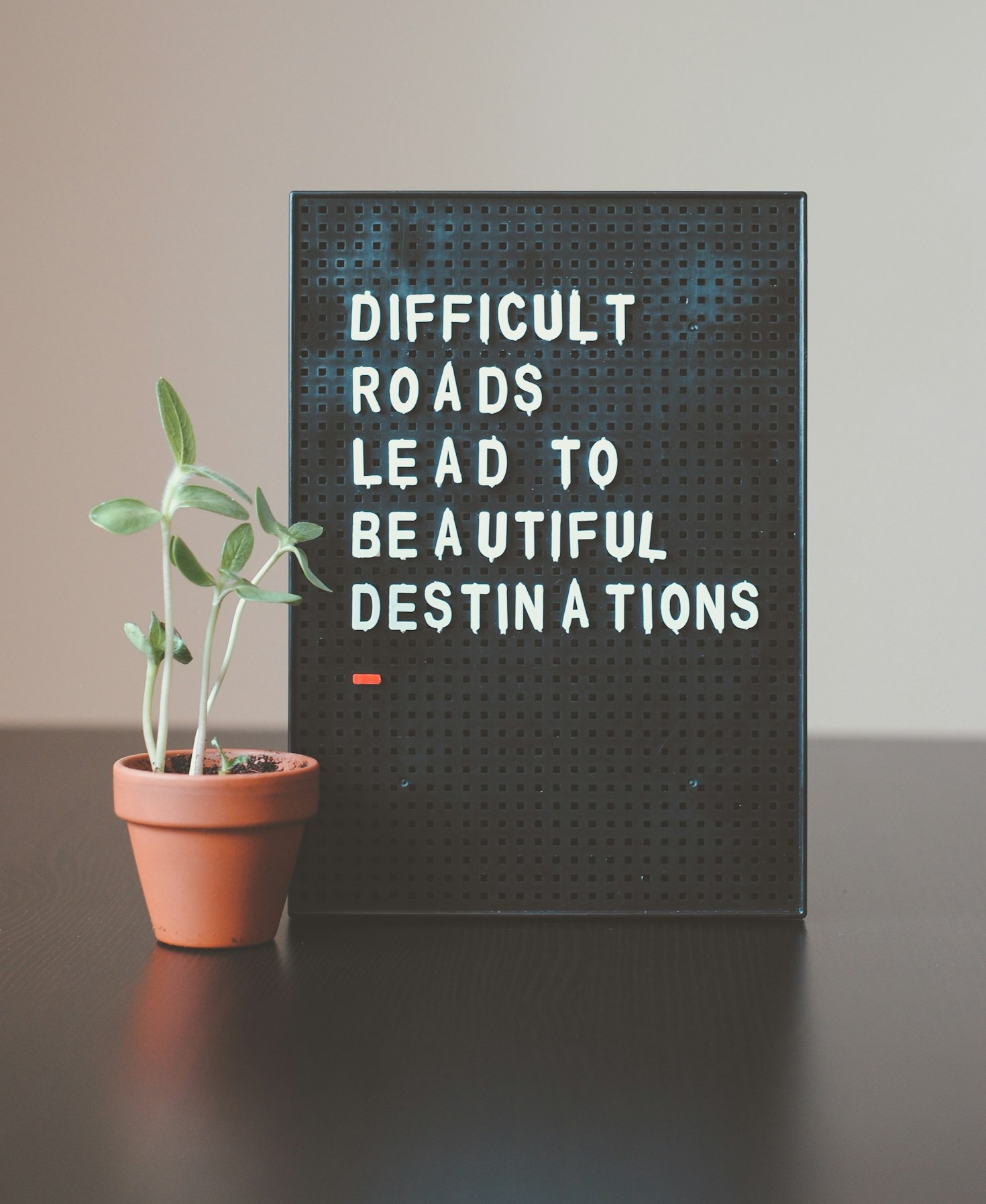 Construyendo resiliencia emocional con ayuda profesional